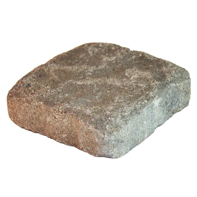 Countryside 6-in L x 6-in W x 2-in H Allegheny Concrete Patio Stone