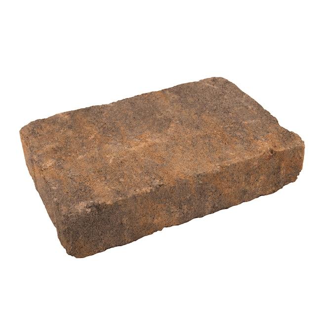 Providence 11-in L x 7-in W x 2-in H Bella Concrete Paver